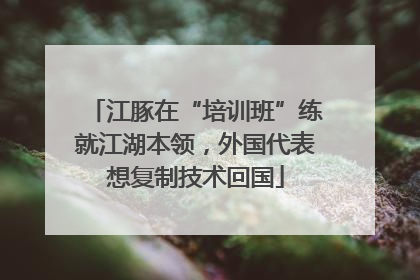 江豚在“培训班”练就江湖本领，外国代表想复制技术回国