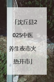 沈丘县2025中医养生夜市火热开市