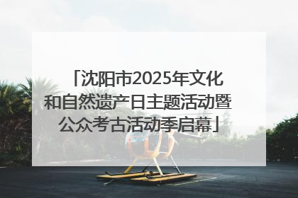 沈阳市2025年文化和自然遗产日主题活动暨公众考古活动季启幕