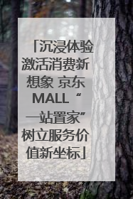 沉浸体验激活消费新想象 京东MALL“一站置家”树立服务价值新坐标