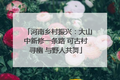 河南乡村振兴：大山中新修一条路 可古村寻幽 与野人共舞