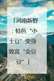 河南新野：特色“小土豆”变身致富“金豆豆”