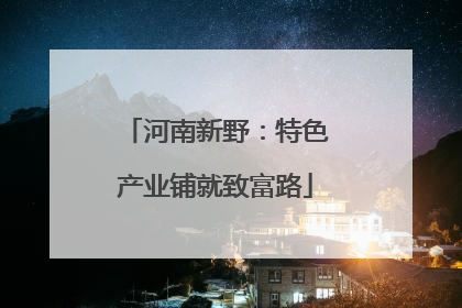 河南新野：特色产业铺就致富路