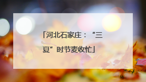 河北石家庄：“三夏”时节麦收忙