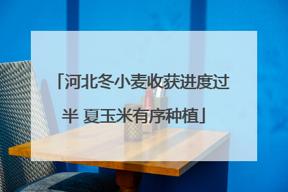 河北冬小麦收获进度过半 夏玉米有序种植