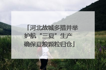 河北故城多措并举护航“三夏”生产 确保夏粮颗粒归仓