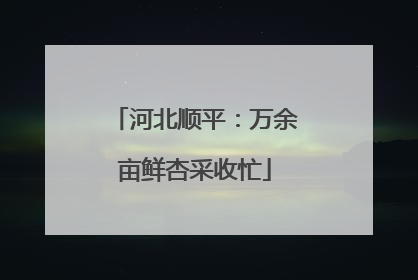 河北顺平：万余亩鲜杏采收忙