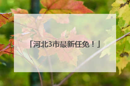 河北3市最新任免！