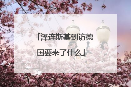 泽连斯基到访德国要来了什么