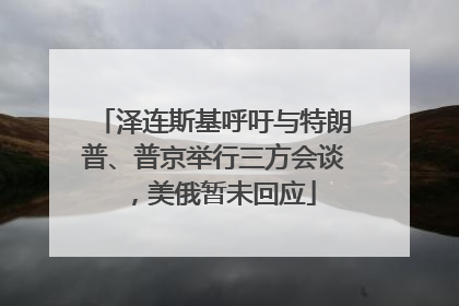 泽连斯基呼吁与特朗普、普京举行三方会谈，美俄暂未回应