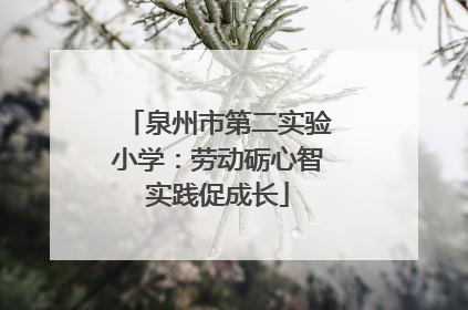泉州市第二实验小学：劳动砺心智实践促成长