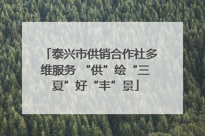 泰兴市供销合作社多维服务 “供”绘“三夏”好“丰”景