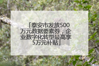 泰安市发放500万元数据要素券，企业数字化转型最高享5万元补贴
