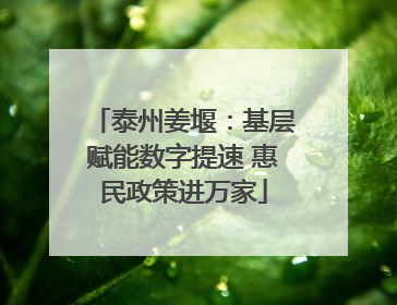 泰州姜堰：基层赋能数字提速 惠民政策进万家
