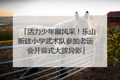 活力少年展风采！乐山新建小学武术队参加老运会开幕式大放异彩