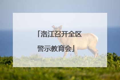 洛江召开全区警示教育会