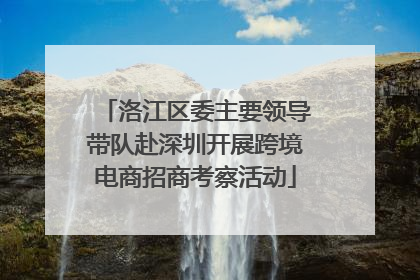 洛江区委主要领导带队赴深圳开展跨境电商招商考察活动