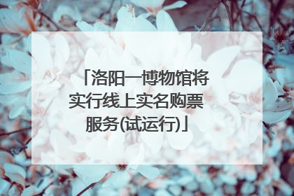 洛阳一博物馆将实行线上实名购票服务(试运行)