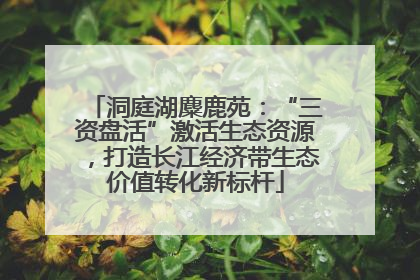洞庭湖麋鹿苑：“三资盘活”激活生态资源，打造长江经济带生态价值转化新标杆