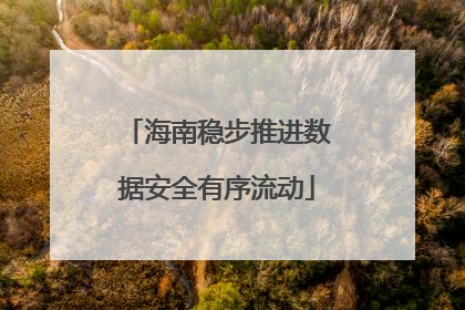 海南稳步推进数据安全有序流动