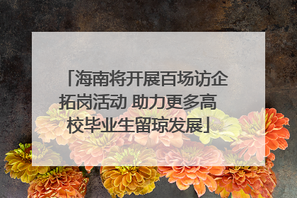 海南将开展百场访企拓岗活动 助力更多高校毕业生留琼发展