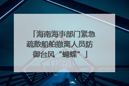 海南海事部门紧急疏散船舶撤离人员防御台风“蝴蝶”