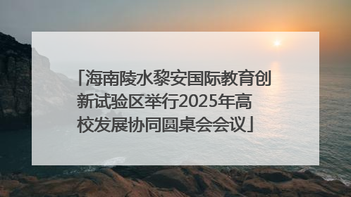 海南陵水黎安国际教育创新试验区举行2025年高校发展协同圆桌会会议