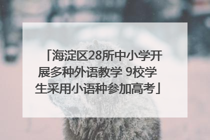 海淀区28所中小学开展多种外语教学 9校学生采用小语种参加高考