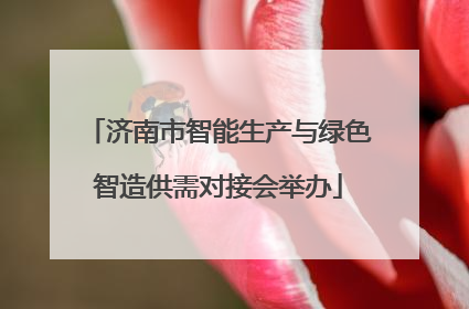 济南市智能生产与绿色智造供需对接会举办