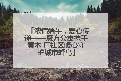 浓情端午，爱心传递——魔方公寓携手黄木 厂社区暖心守护城市蜂鸟