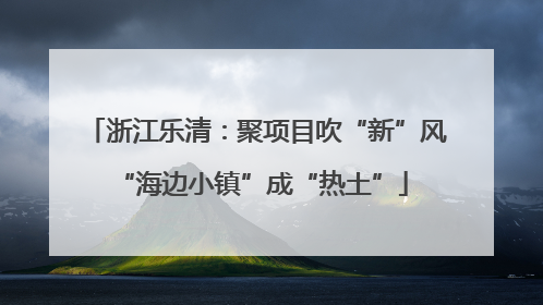 浙江乐清：聚项目吹“新”风 “海边小镇”成“热土”