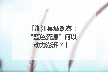 浙江县域观察：“蓝色资源”何以动力澎湃？