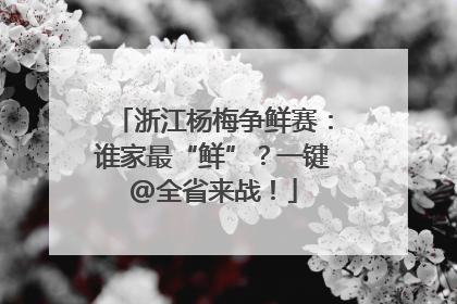 浙江杨梅争鲜赛：谁家最“鲜”？一键@全省来战！