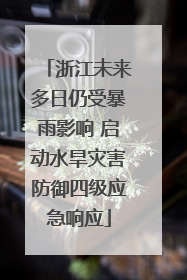 浙江未来多日仍受暴雨影响 启动水旱灾害防御四级应急响应