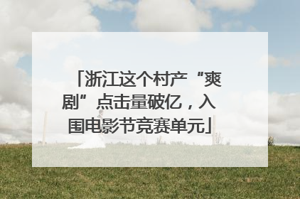 浙江这个村产“爽剧”点击量破亿，入围电影节竞赛单元