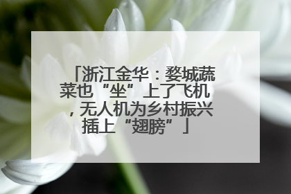 浙江金华：婺城蔬菜也“坐”上了飞机，无人机为乡村振兴插上“翅膀”
