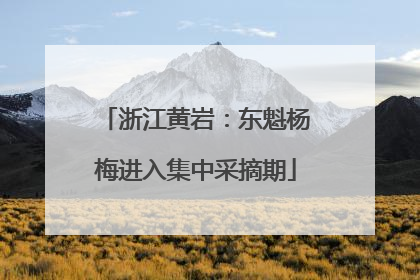 浙江黄岩：东魁杨梅进入集中采摘期
