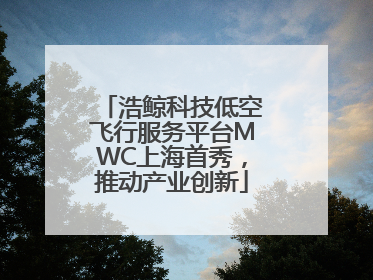 浩鲸科技低空飞行服务平台MWC上海首秀，推动产业创新