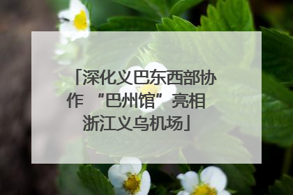 深化义巴东西部协作 “巴州馆”亮相浙江义乌机场