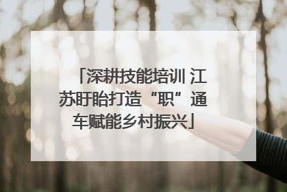 深耕技能培训 江苏盱眙打造“职”通车赋能乡村振兴