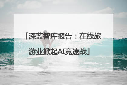深蓝智库报告：在线旅游业掀起AI竞速战