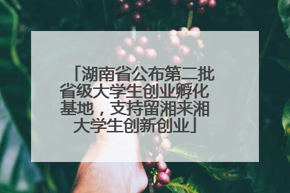 湖南省公布第二批省级大学生创业孵化基地，支持留湘来湘大学生创新创业
