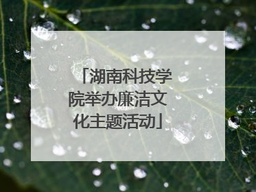 湖南科技学院举办廉洁文化主题活动