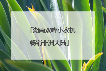 湖南双峰小农机畅销非洲大陆