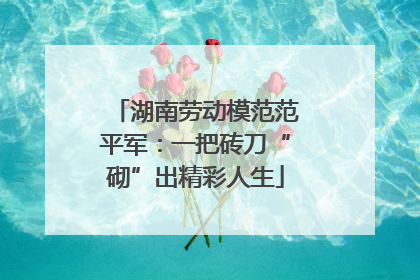 湖南劳动模范范平军：一把砖刀“砌”出精彩人生