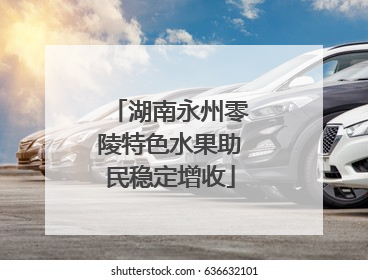 湖南永州零陵特色水果助民稳定增收