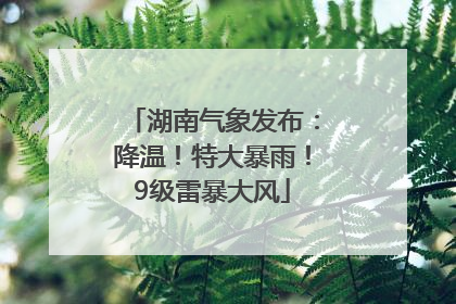 湖南气象发布：降温！特大暴雨！9级雷暴大风