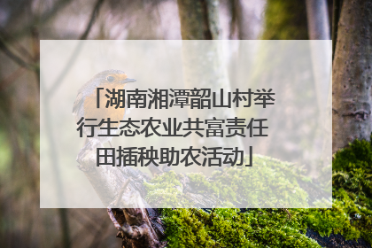 湖南湘潭韶山村举行生态农业共富责任田插秧助农活动
