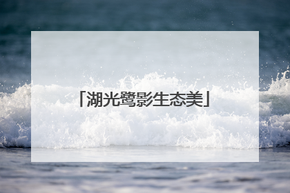 湖光鹭影生态美