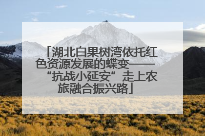 湖北白果树湾依托红色资源发展的蝶变——“抗战小延安”走上农旅融合振兴路